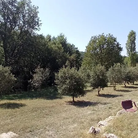 La Sousto Du Sauvage *
