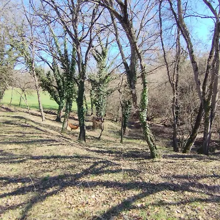 La Sousto Du Sauvage *